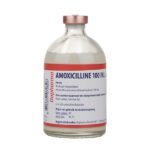 Amoxycillin 15% Inj.-100ml