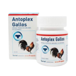 Antoplex Gallos – 90 Tab.