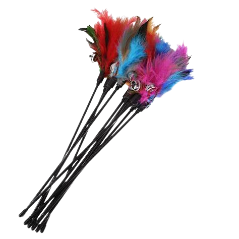Cat Stick Toy with Feather & Bell , 12cm