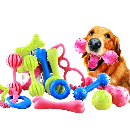 Squeezy Dog toy