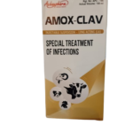 Amox-Clav Injection, 100mL