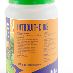 Introvit-C WS Powder, 1000 g