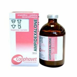 Ampidexalone Injection, 100mL