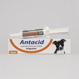 Antacid Gel Gel for neutralizing stomach acid, 20g