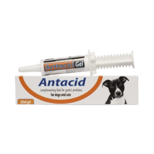 Antacid Gel Gel for neutralizing stomach acid, 20g