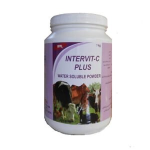 Intervit-C Plus Powder, 100g