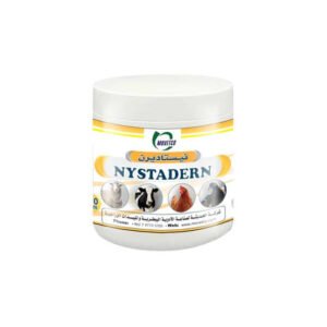 Nystaderm Ointment, 200g