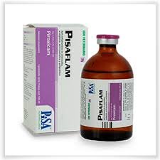 Pisaflam Injection, 100mL