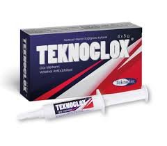 Teknoclox Eye Ointment, 5g