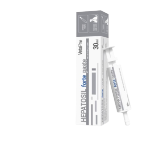 Hepatosil Advanced Paste Syringe For Cats, 30mL