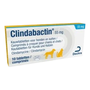 Clindabactin 55mg, 10 Tab.